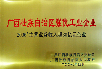 2007年自治区强优工业企业
