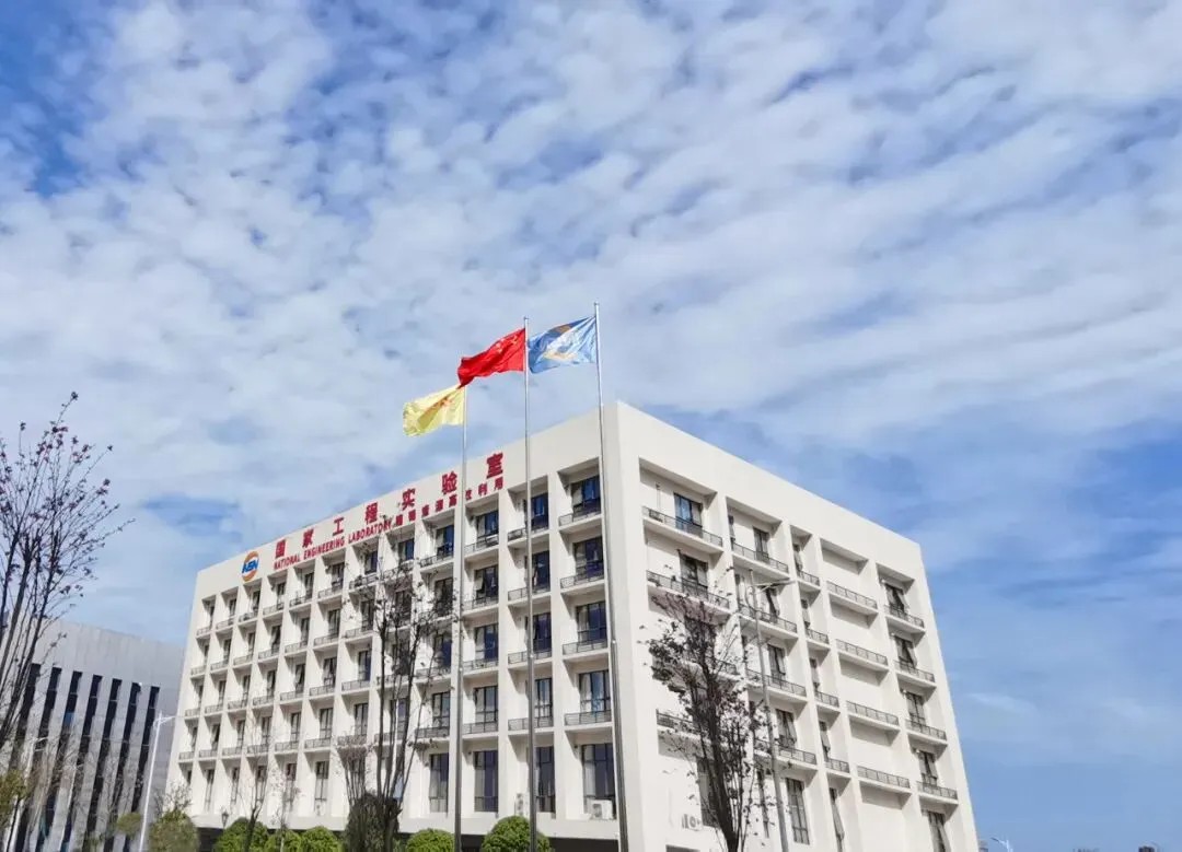 99.99999%7N级高纯度铟制备成功！北部湾港集团旗下研究院实现高纯金属材料领域关键突破